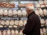 گره کور گرانی در بازار گوشت مرغ