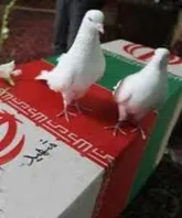پیکر پاک یک شهید نیروی انتظامی در بروجرد تشییع شد