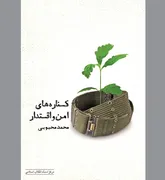 شرحی و در آمدی بر «کناره‌های امن و اقتدار»
