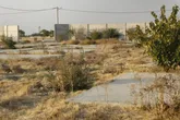 بوستان بانوان اسلامشهر، ابزاری برای تبلیغات یا محلی برای اسکان اضطراری
