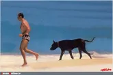 تصاويري از آخرين سفر شاه