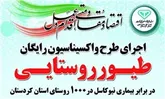 طرح واکسیناسیون رایگان طیور در 1000 روستای کردستان اجرایی می‌شود