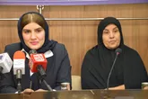 زعفران با ید بابرند ایرانی  به بازار جهانی عرضه شود