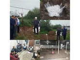 معدوم سازی یک واحد مرغداری گوشتی در سوادکوه‌شمالی