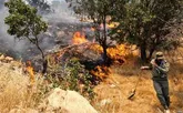 آتش سوزی کوهستان آوالان مهار شد