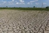 وجود ۱۵ دشت ممنوعه و ۱۳ دشت فاقد ظرفیت بهره‌برداری در استان سمنان