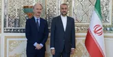 تجلیل نماینده گوترش از نقش ایران در مبارزه با تروریسم و کمک به امنیت منطقه و سوریه
