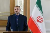 امیر عبداللهیان خواستار نشست اضطراری سازمان همکاری اسلامی شد