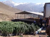 آغاز بزرگ‌ترین پروژه فضای سبز روستایی کشور در سولقان تهران