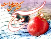 برپایی بیش از 500 ویژه‌برنامه به مناسبت هفته بسیج در شیراز