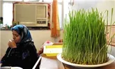دومین مرکز نگهداری سالمندان ابرکوه احداث می‌شود