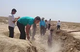 الگوی عزم ملی و مدیریت جهادی