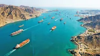 بازگشت فشار به بازار جهانی غذا 