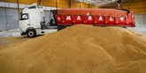 رئیس‌جمهور دستور بررسی اصلاح قیمت خرید تضمینی گندم را داد