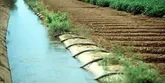 واکاوی اتلاف نجومی آب در بخش کشاورزی/ ارتقای بهره‌وری آبیاری ستون حل مسأله آب در ایران