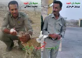 شهاددت دو محیط بان هرمزگانی درمنطقه حفاظت شده گنو