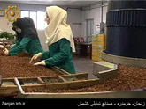 استفاده صد درصدی از محصولات کشاورزی با صنایع تبدیلی