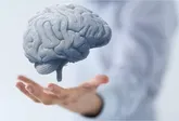 تقویت عملکرد مغز با مصرف این میوه‌ها